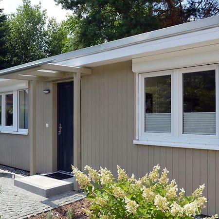 Ferienquartier Goethe33 Villa Dresden Exteriör bild